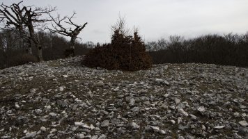 Las Tres Mugas eraztuna