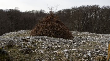 Las Tres Mugas eraztuna