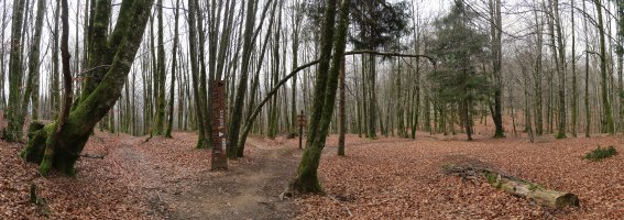 Hirumuga Bike Park, mendiko bizikletentzako ibilbidearen hasiera, Basakaitz