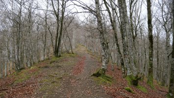 Tontorrerako bidea, HEtik, Basakaitz