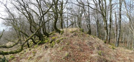 Muino harritsu bat Arruitzgain aldeko bizkarrean