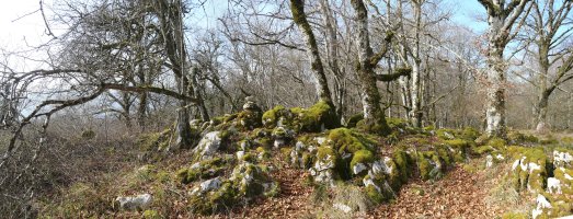 Aitzuriaga muinoaren tontorra, HMan