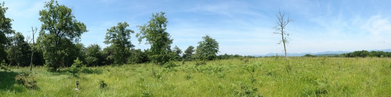 Tontorra eta inguruak