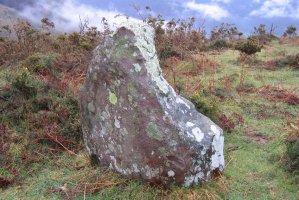 Goizemetz zutarria, Baztan