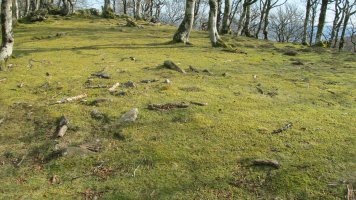 Olhateko Lepoa tumulua, Erratzu-Bazan