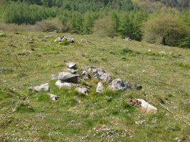 Campo tumular BELAURIATE III