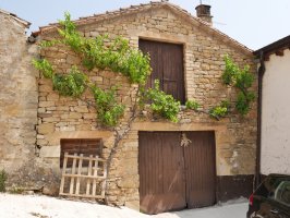 Ikuilu bat edo, Argiñano