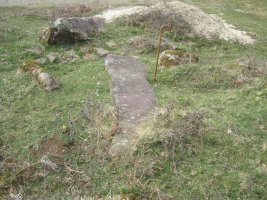 Monolito Tranpa (Marzo 2022)