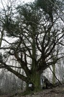 Etxalarko hagina, 2022ko martxoa