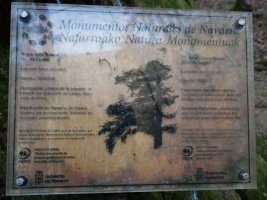 Etxalarko hagina, 2022ko martxoa