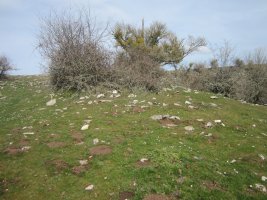 Txabola Tumular Osaleze (Abril 2022)