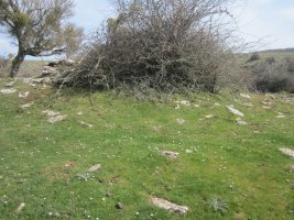 Txabola Tumular Osaleze (Abril 2022)