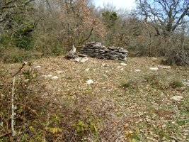 komostarri trikuharria