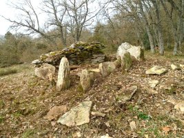 komostarri trikuharria