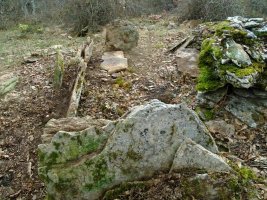 komostarri trikuharria