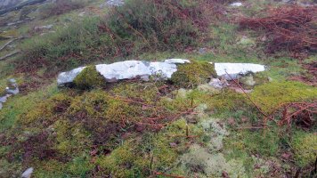 Zaharretako lepoa trikuharria, Beartzun-Baztan