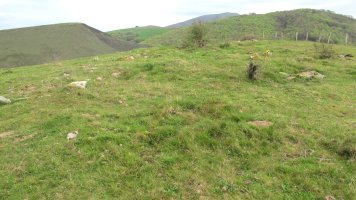 Oiza este trikuharria, Berro-Baztan