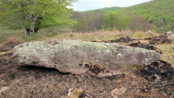 Goizemezko lepoa zutarria, Berro-Baztan