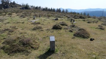 Pagolletako zelaia harrespila