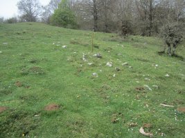 Túmulo Bardoitza VIII (Abril 2022) Dudoso