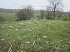 Túmulo Bardoitza IX (Abril 2020)