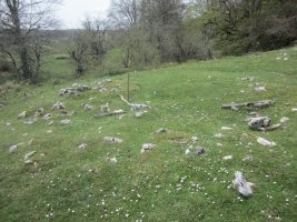 Túmulo Bardoitza IX (Abril 2022)