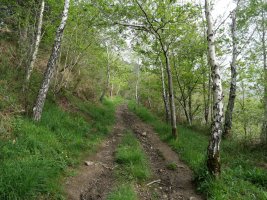 Basopoetatik gorako pasarte bat