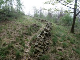 Lubakien arrastoak tontorraren inguruan