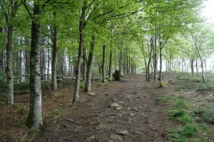 Tontorrerako azken metroak mendebaldetik