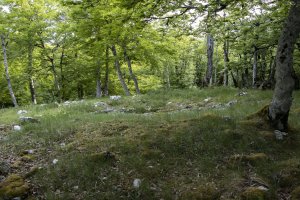 Alto de Basazelaia 2