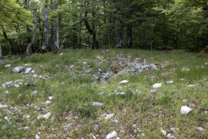 Alto de Basazelaia 2