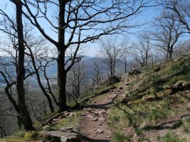 Hegoaldeko hegia zeharkatzen duen bidezidorra