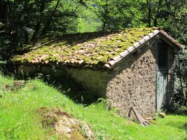 Arraxka erroa, Arizkun-Baztan