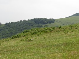 Fondo de cabaña ARKAUN IV