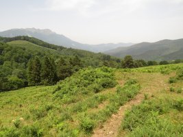 Fondo de cabaña ARKAUN V