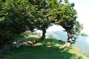 Gandorreko bideko pasartea