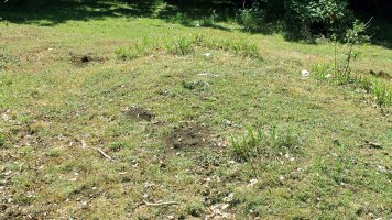 Rasico del Mojón I tumulua, Urbasa