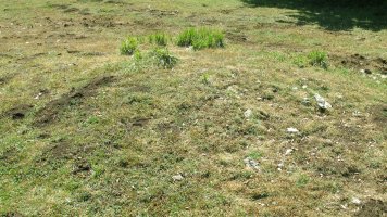 Rasico del Mojón II tumulua, Urbasa