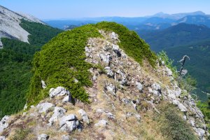 Abizondo tontorra ekialdetik