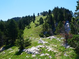 Mendebaldeko bizkarreko pasarte bat, Lapazarra
