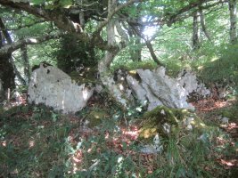 Lizarrandigañe 1 Este