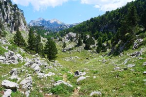 GR bidea Larreria lepoaren inguruan