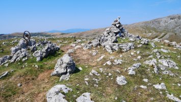 Txartelontzia, Mendiaundi