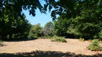 Lerdengibel gailurra