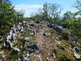 Tontorra, Eguerdimuño