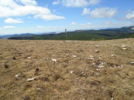 peña elordia tumulua