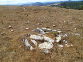 trekua goñi tumulua