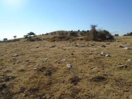 corrales de arteta 1