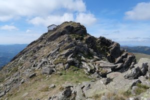 Mendaur tontorra, ekialdetik