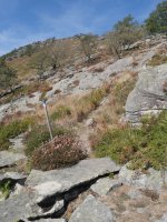 Jaitsierako pasarte bat